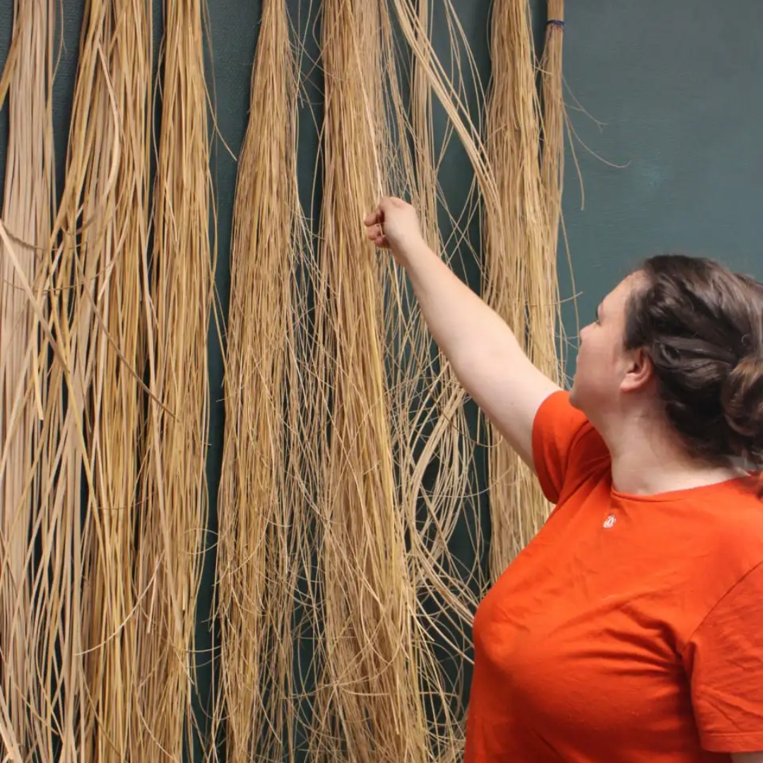 Inès Hayaud en train de choisir de la canne à l'état brut